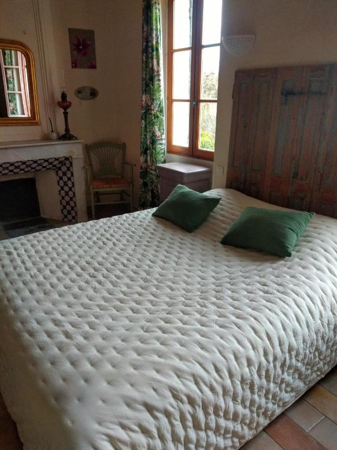 Mas La Vitalis Chambres D'Hotes LʼIsle-sur-la-Sorgue Esterno foto