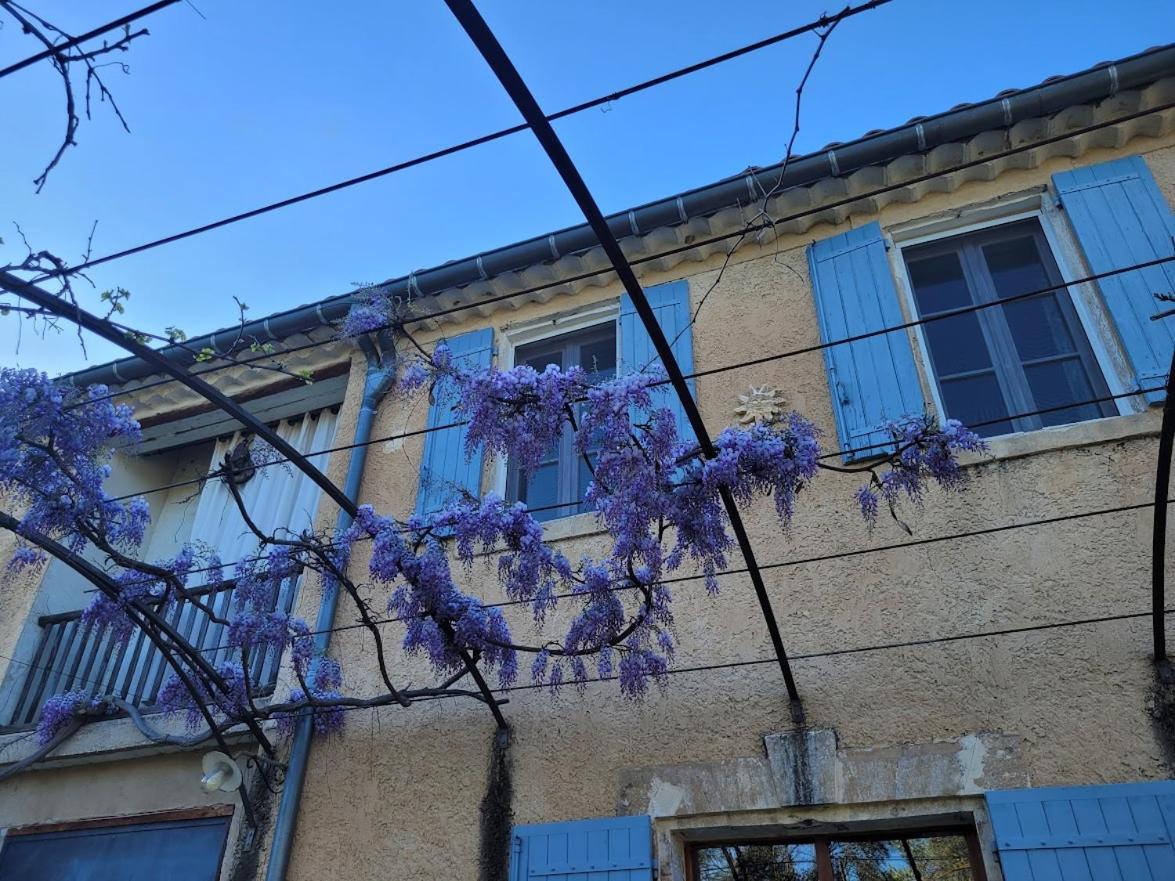 Mas La Vitalis Chambres D'Hotes LʼIsle-sur-la-Sorgue Esterno foto