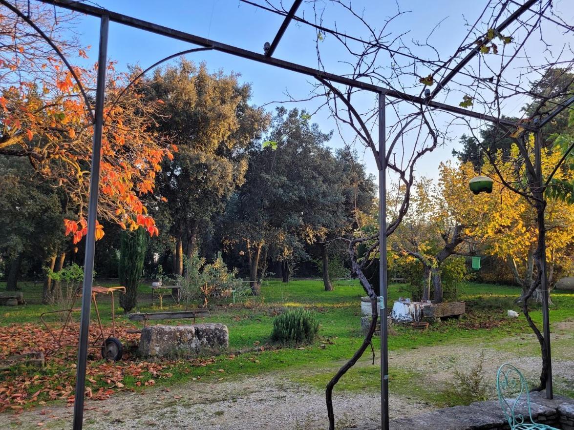 Mas La Vitalis Chambres D'Hotes LʼIsle-sur-la-Sorgue Esterno foto